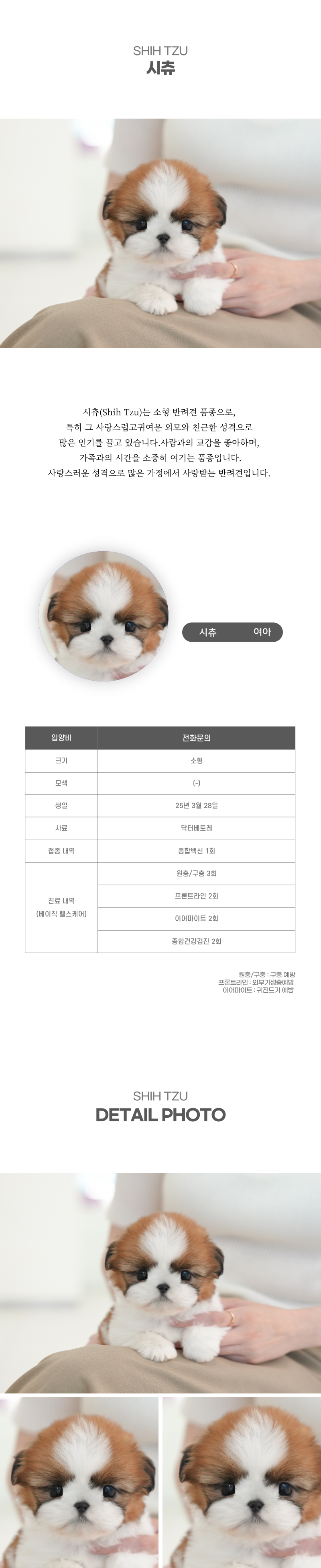 시츄_상세이미지_2
